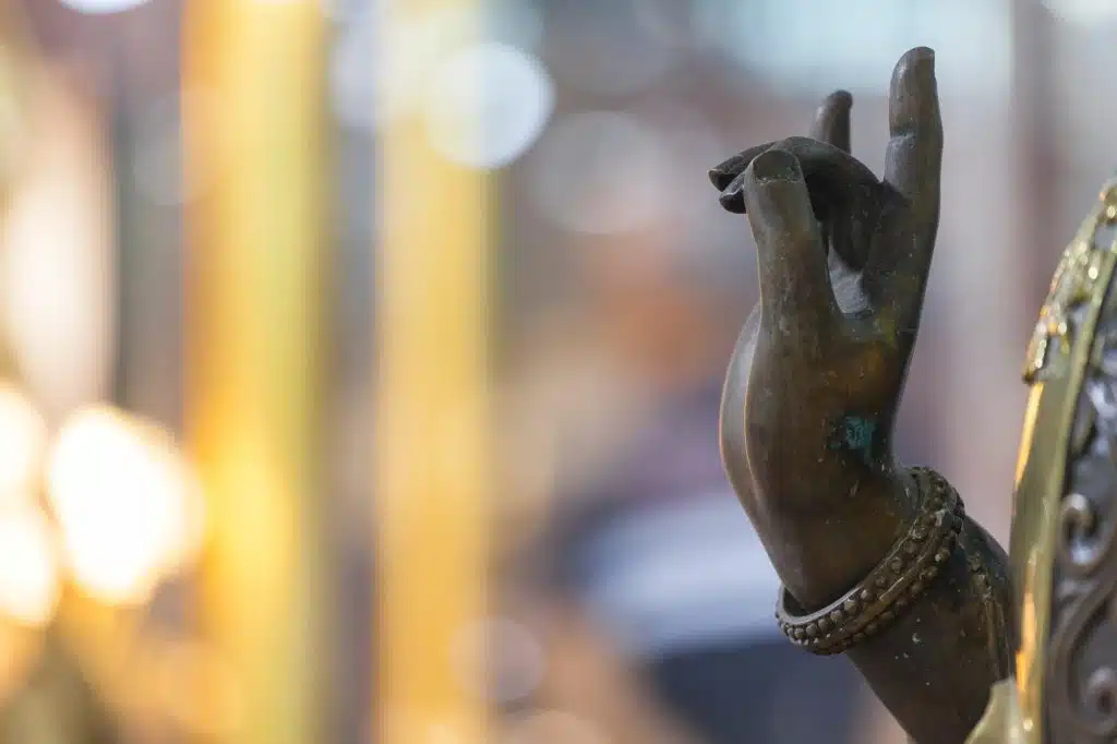 Hand of Buddha in peace mudra